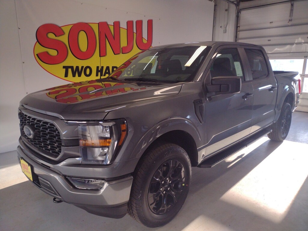 New 2023 Ford F150 For Sale at Sonju Two Harbors VIN 1FTEW1EP5PFD20180