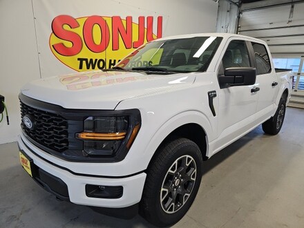 2025 Ford F-150 STX Truck