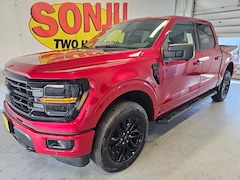 2025 Ford F-150 XLT Truck