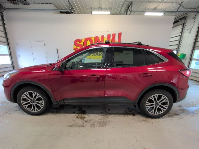 Used 2021 Ford Escape SEL with VIN 1FMCU9H64MUB28654 for sale in Two Harbors, Minnesota
