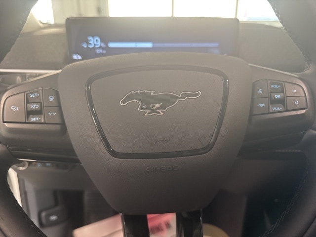 2025 Ford Mustang Mach-E Premium - Photo 14
