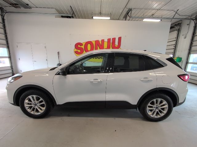 Certified 2022 Ford Escape SE with VIN 1FMCU9BZ7NUA73556 for sale in Two Harbors, MN