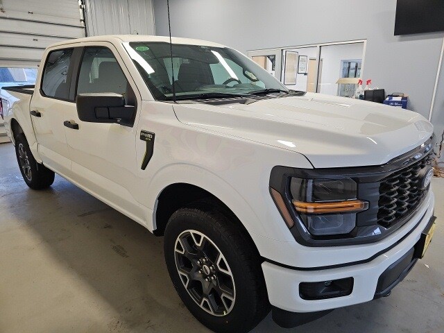 2025 Ford F-150 STX photo 3