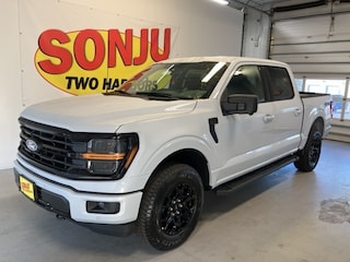 2025 Ford F-150 XLT Truck 2025 Ford F-150 XLT Truck