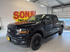 2025 Ford F-150 XLT Truck