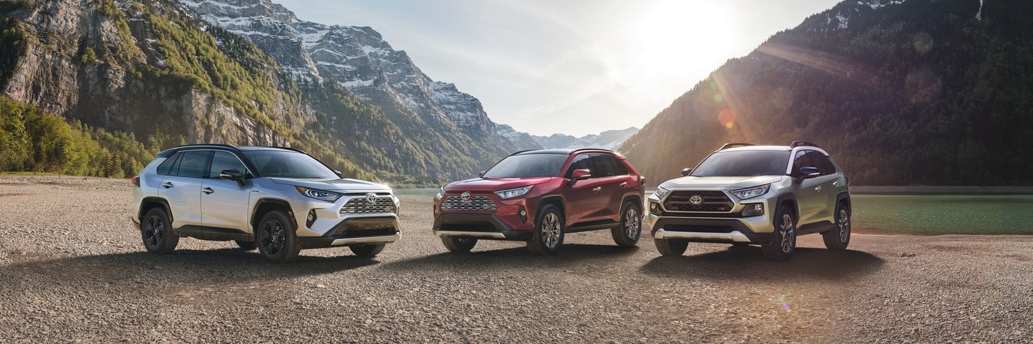 2019 Toyota RAV4 LineUp