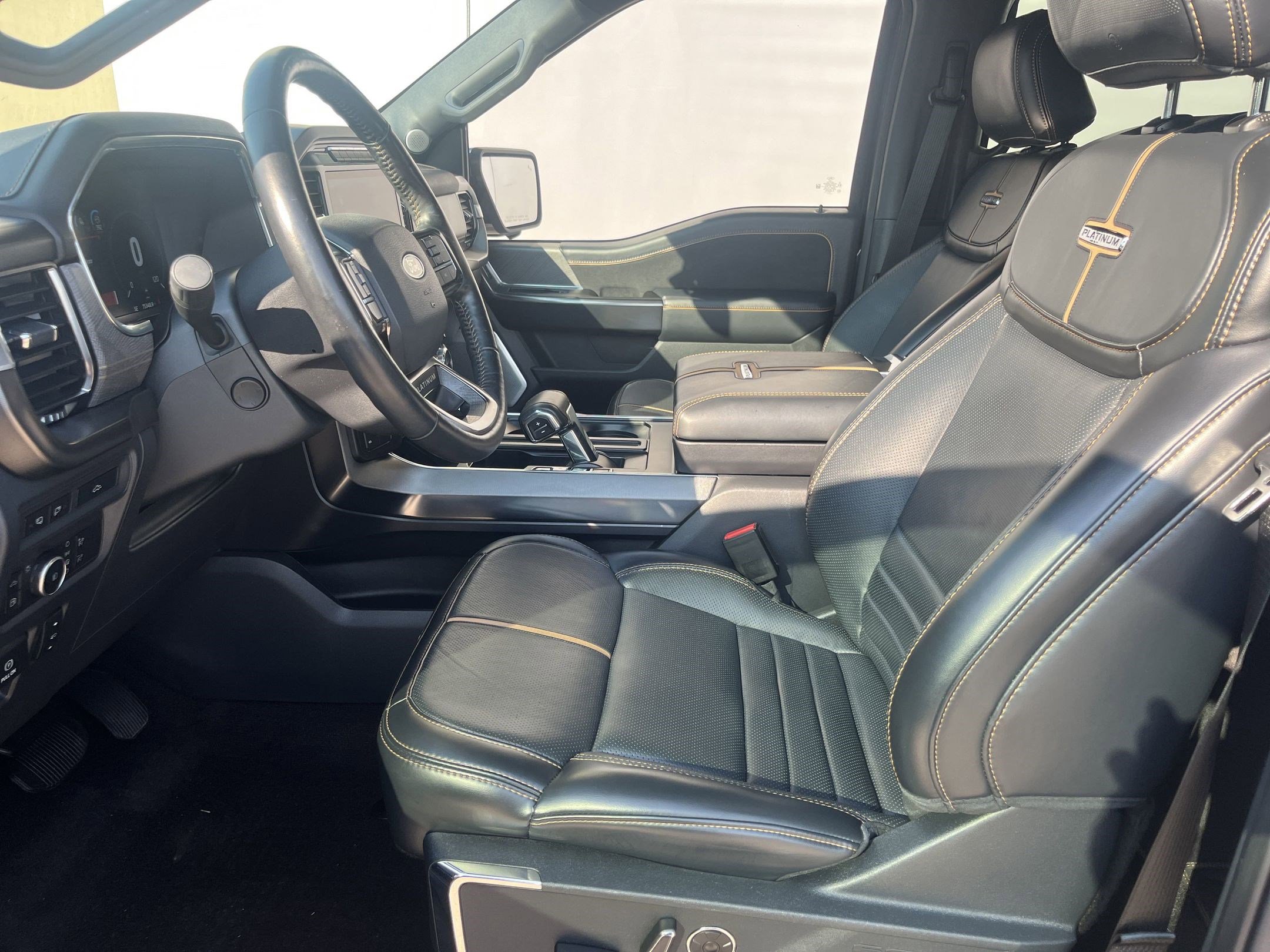 2021 Ford F-150 Platinum photo 4