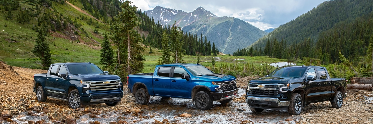 2024 Chevrolet Silverado 1500 LineUp