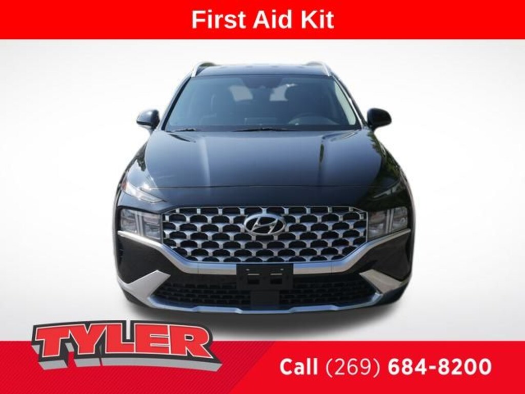 Used Hyundai Santa Fe For Sale Niles MI South Bend N58391P