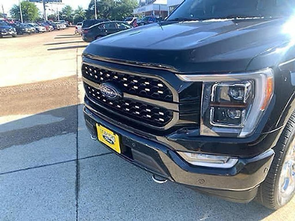 Used 2022 Ford F-150 Platinum Pickup