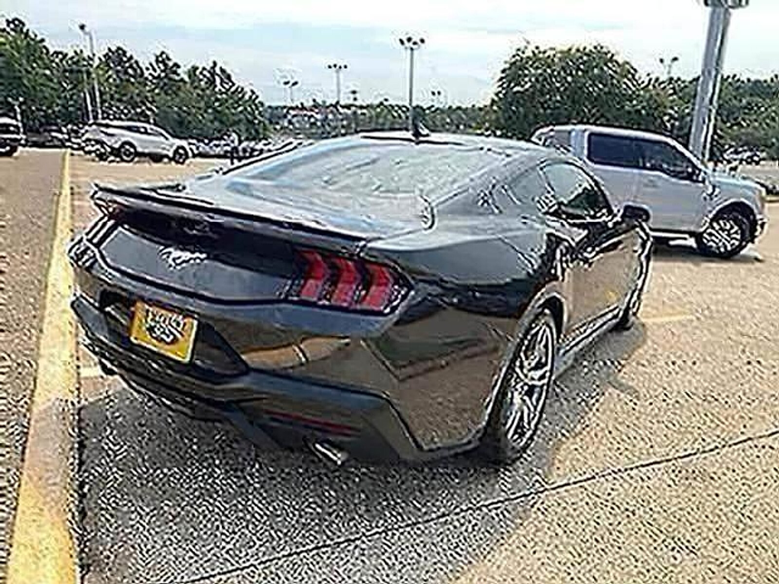 2024 Ford Mustang EcoBoost Premium - Photo 7