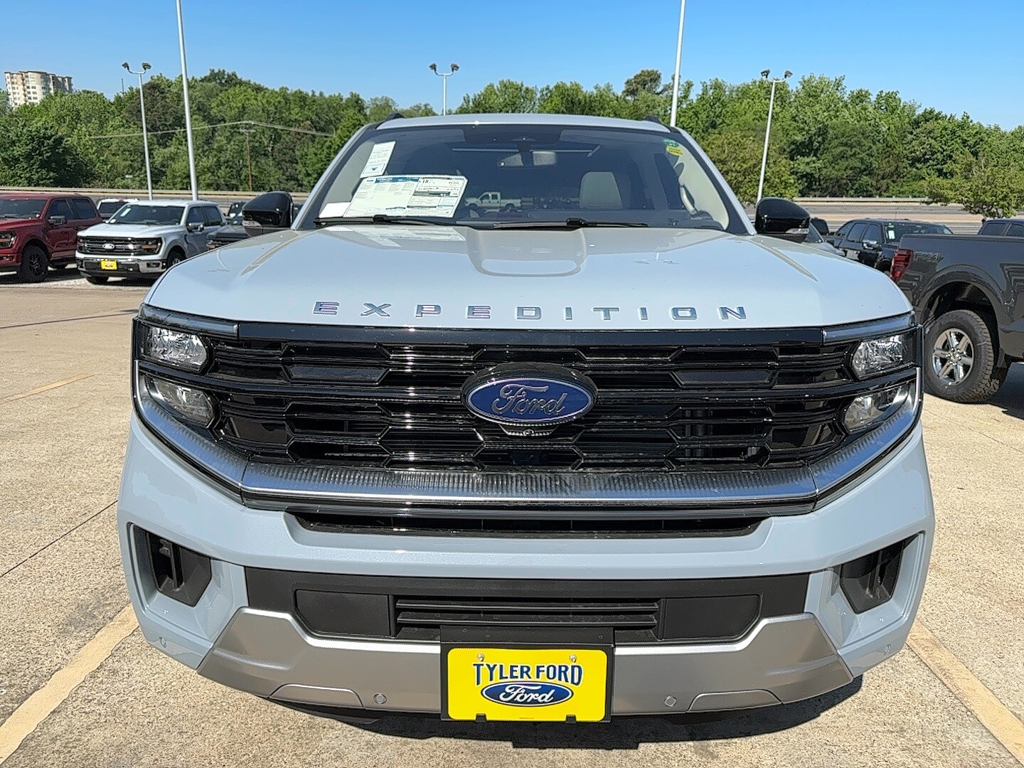 2025 Ford Expedition Platinum photo 3