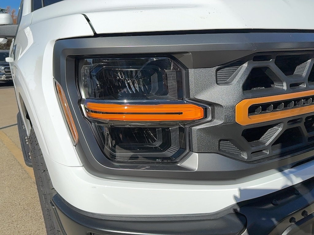 New 2025 Ford F-150 Tremor TRUCK