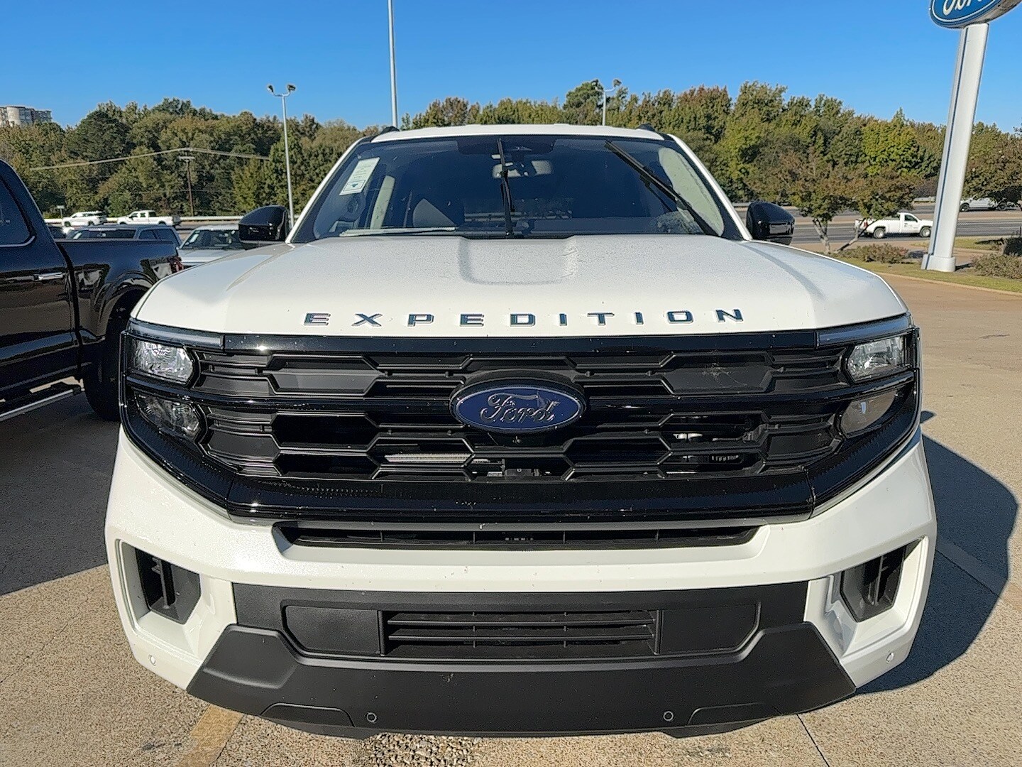 2025 Ford Expedition photo 3
