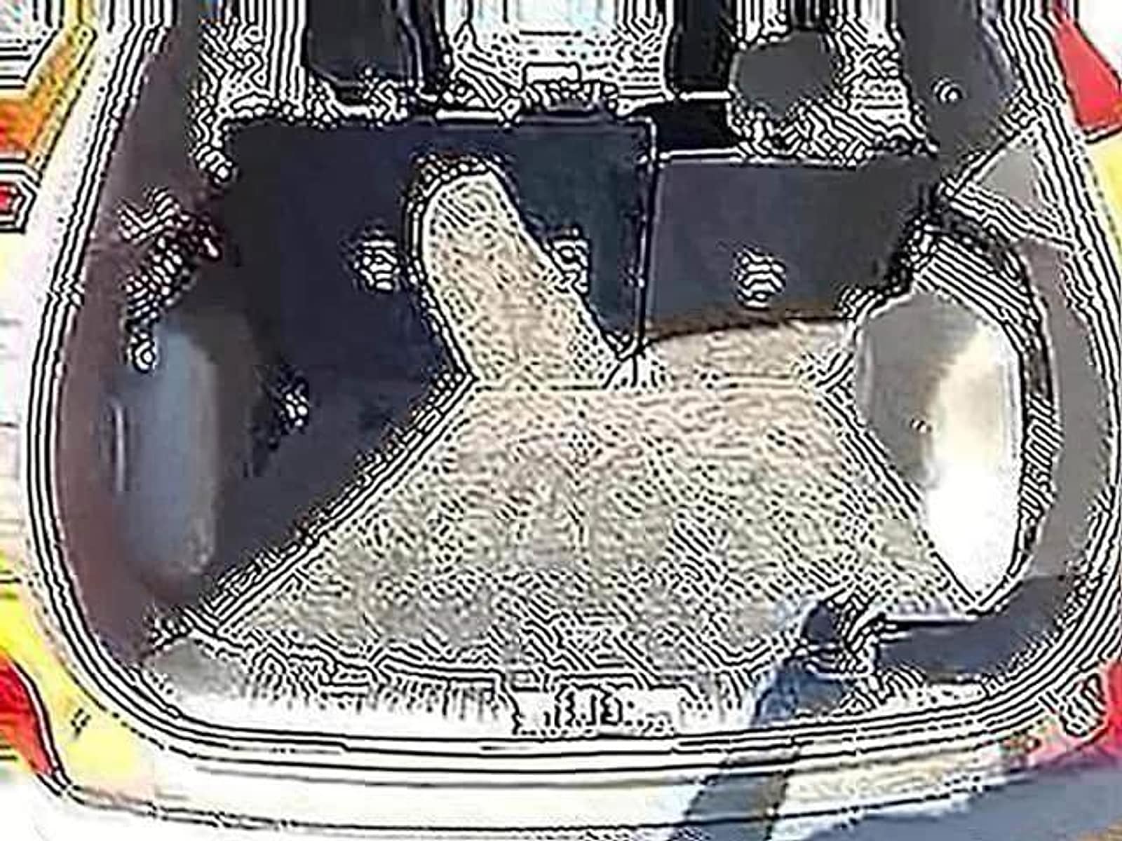 2024 Ford Escape Active - Photo 12