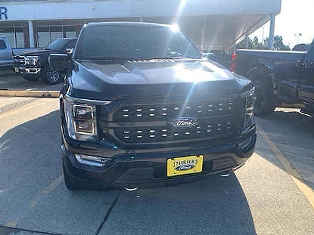 Used 2022 Ford F-150 Platinum Pickup