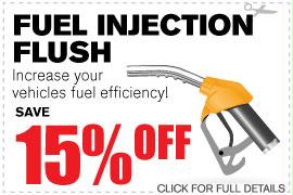 Fuel Injection Flush