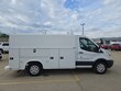 Ford Transit-250 Cutaway