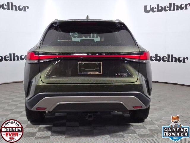 2025 Lexus RX 350 - Photo 6