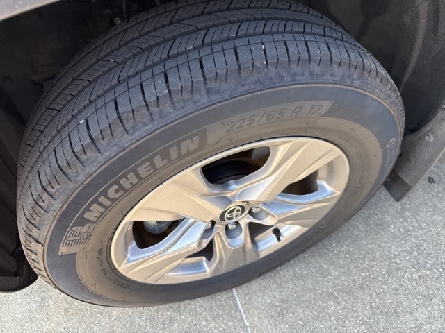 Certified 2025 Toyota RAV4 XLE with VIN 2T3P1RFV0SC503594 for sale in Northfield, Minnesota