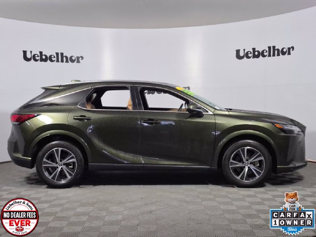 2025 Lexus RX 350 - Photo 8