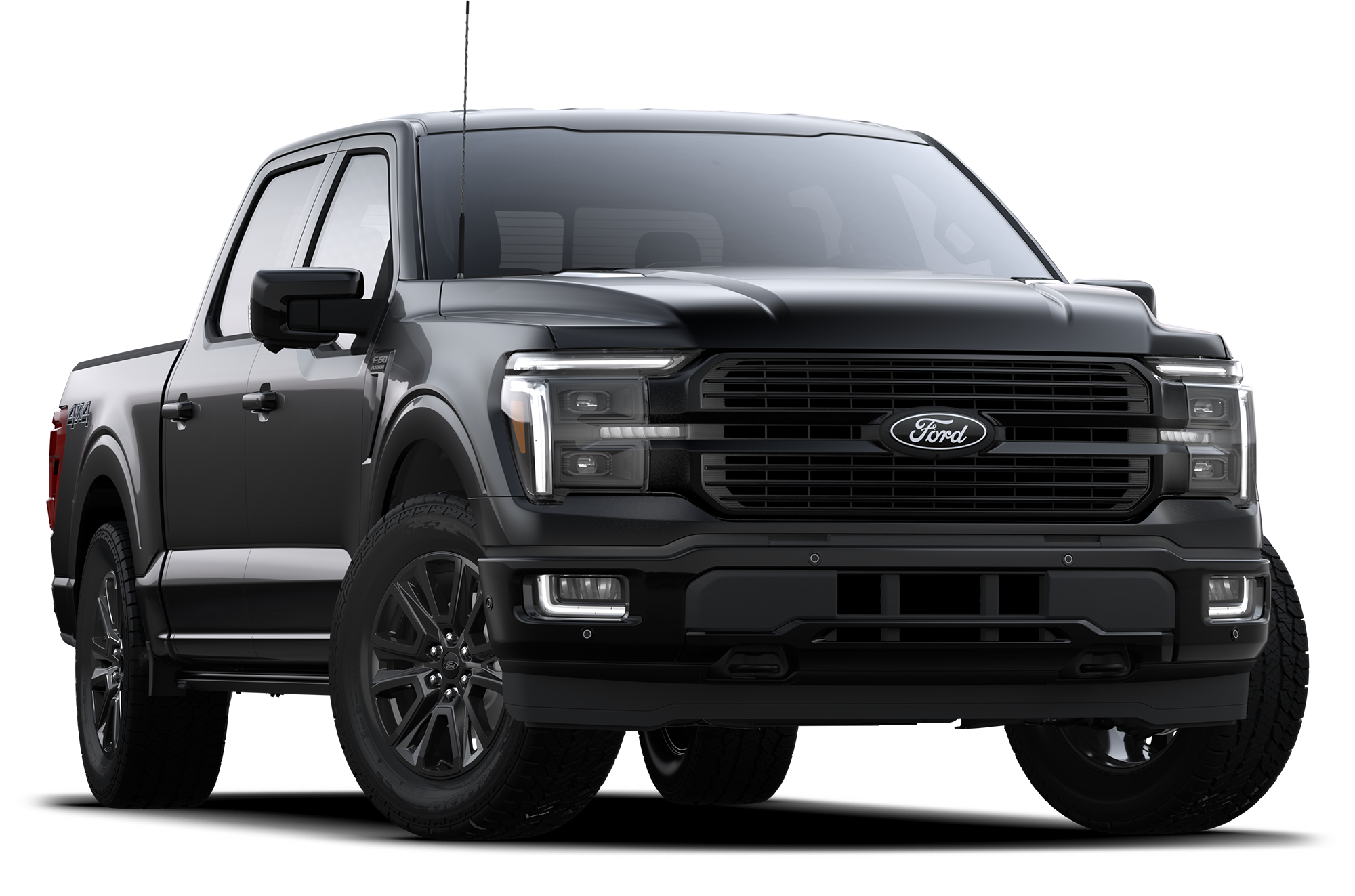 Black Ford F-150 Double Cab