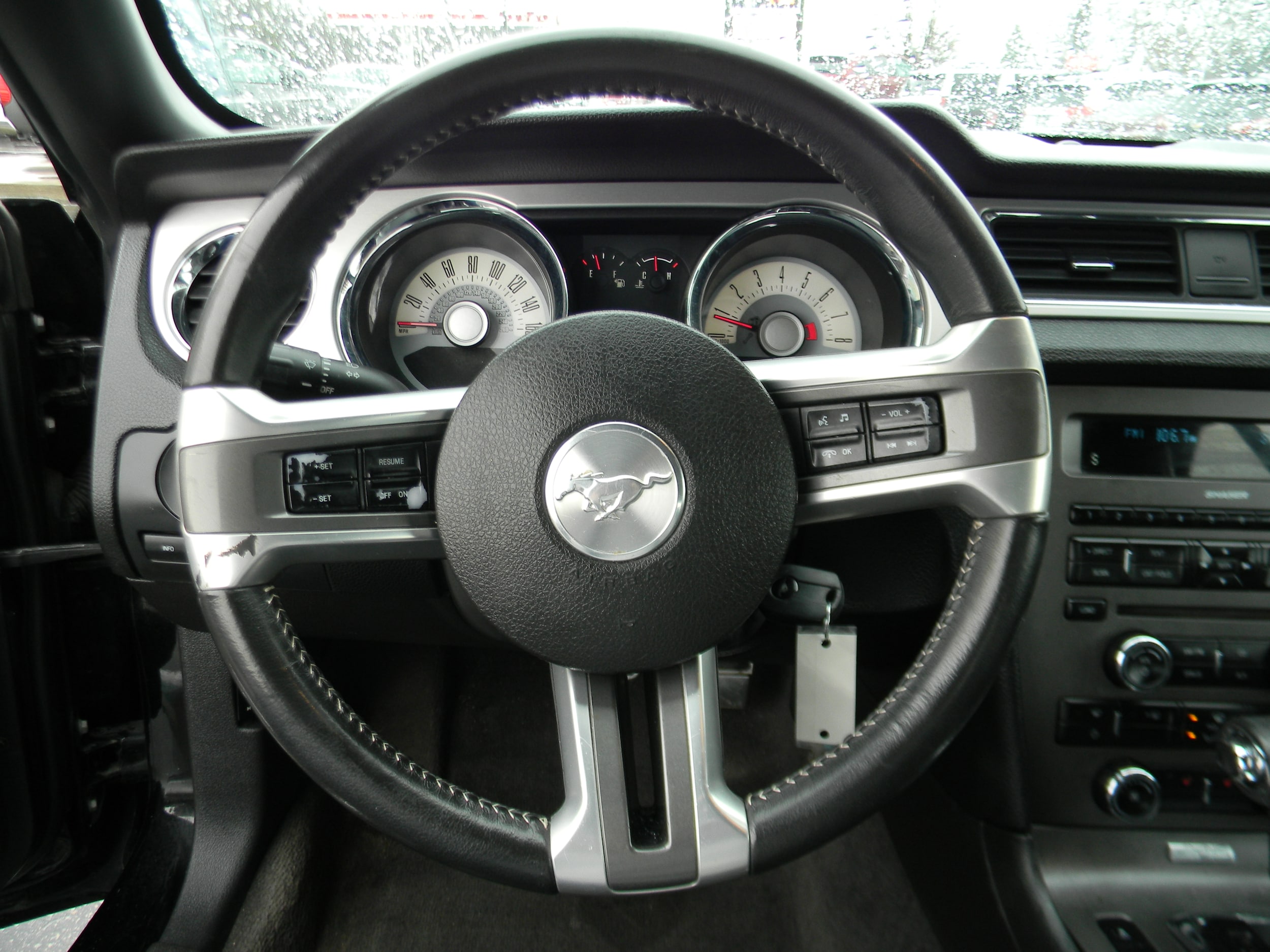 Photo 7