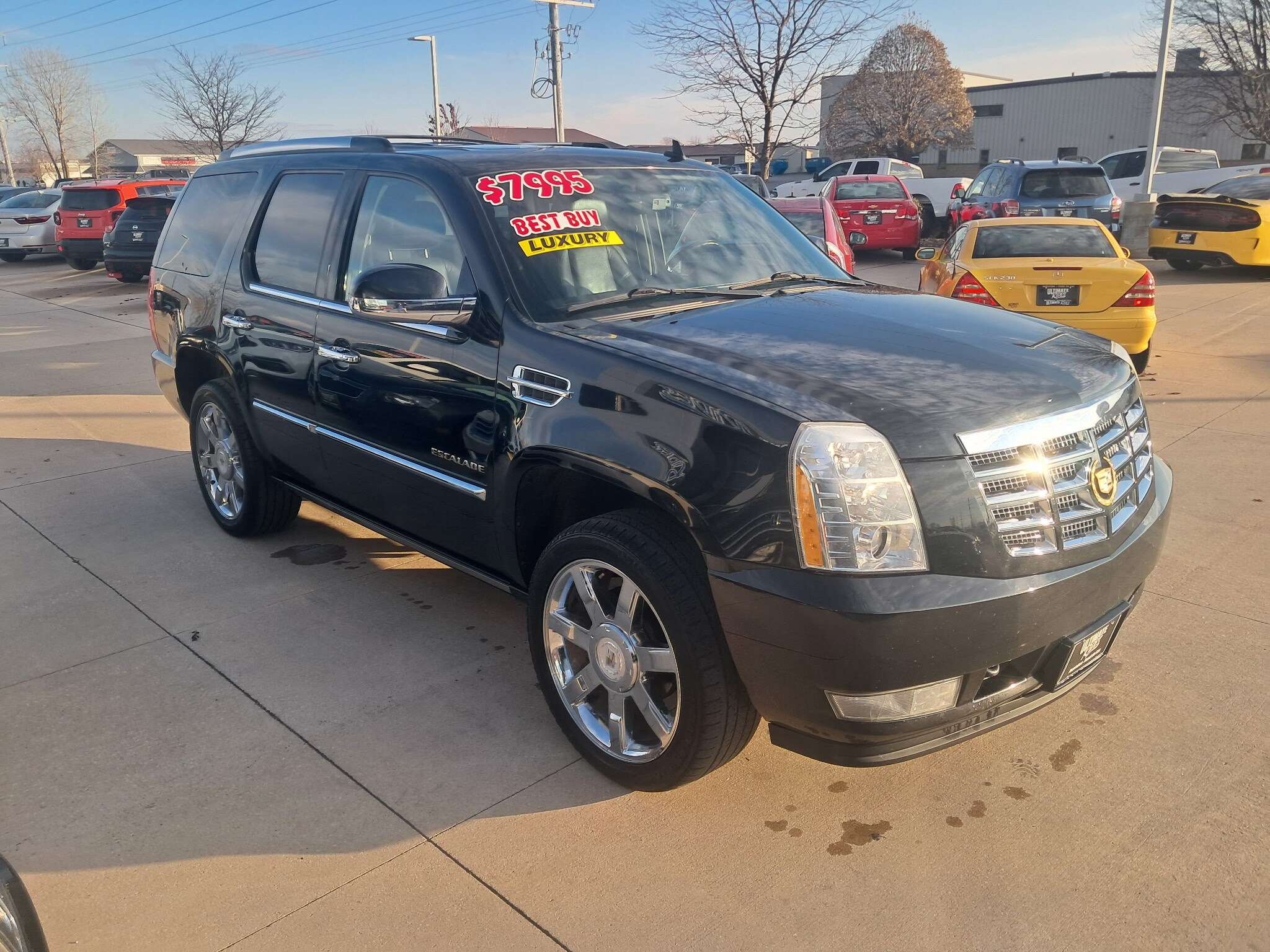 2010 Cadillac Escalade Premium photo 2