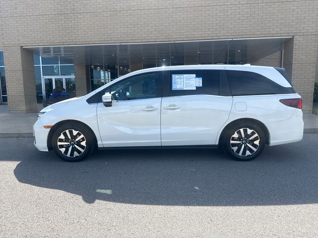 2025 Honda Odyssey EX-L's photo
