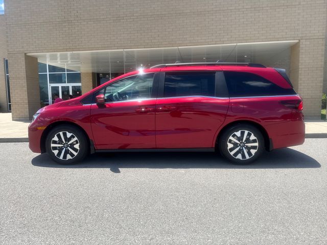 2026 Honda Odyssey EX-L's photo