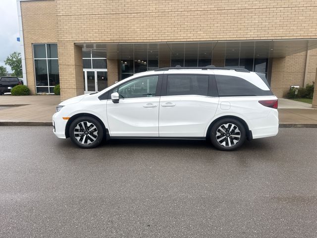 2026 Honda Odyssey EX-L's photo