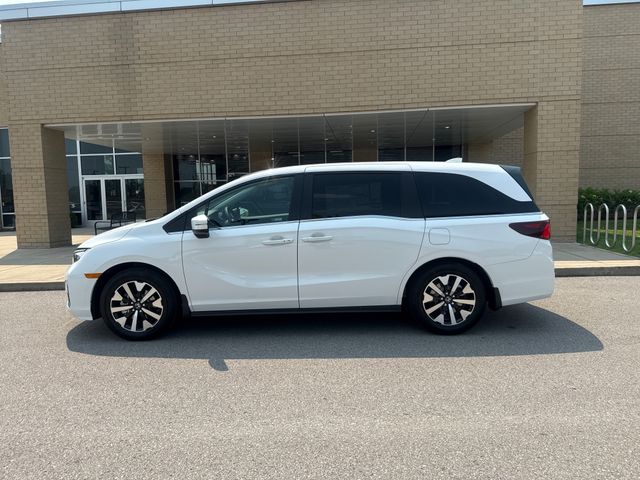New 2026 Honda Odyssey EX-L