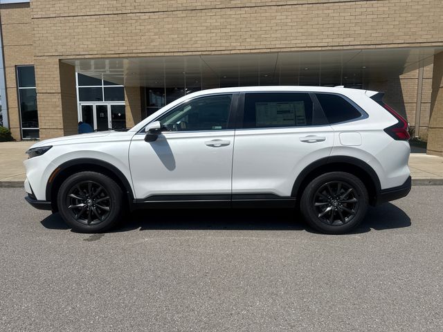 2026 Honda CR-V EX-L AWD's photo