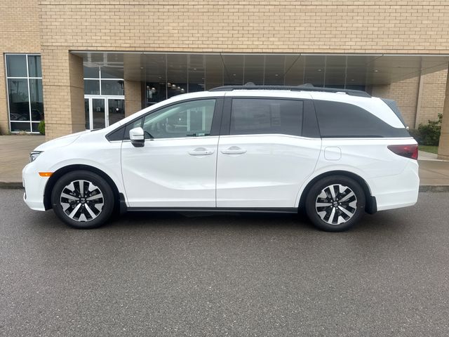 2026 Honda Odyssey EX-L's photo