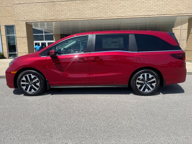 2026 Honda Odyssey EX-L's photo