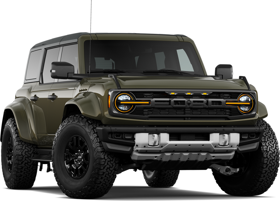 Raptor