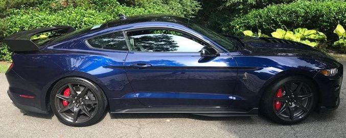 shelby4.jpg