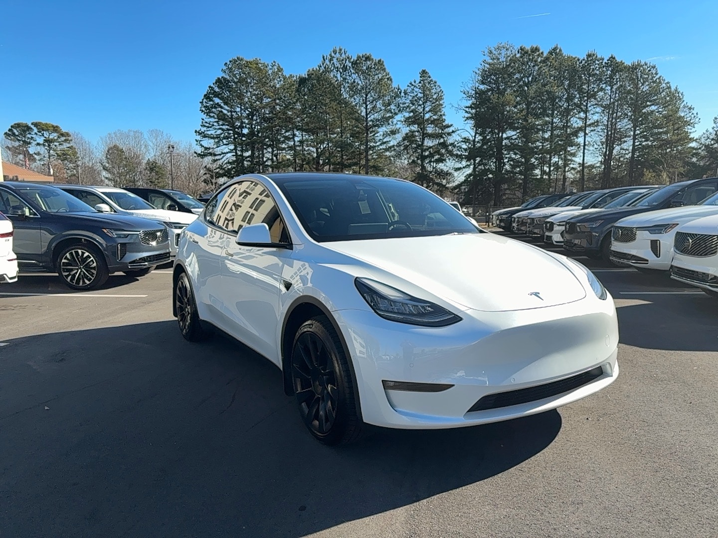 2022 Tesla Model Y Long Range's photo