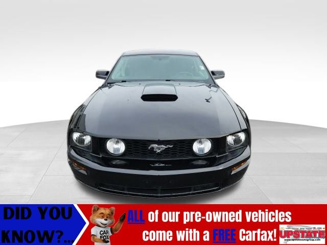 Used 2008 Ford Mustang GT Deluxe with VIN 1ZVHT82H385142446 for sale in Attica, NY