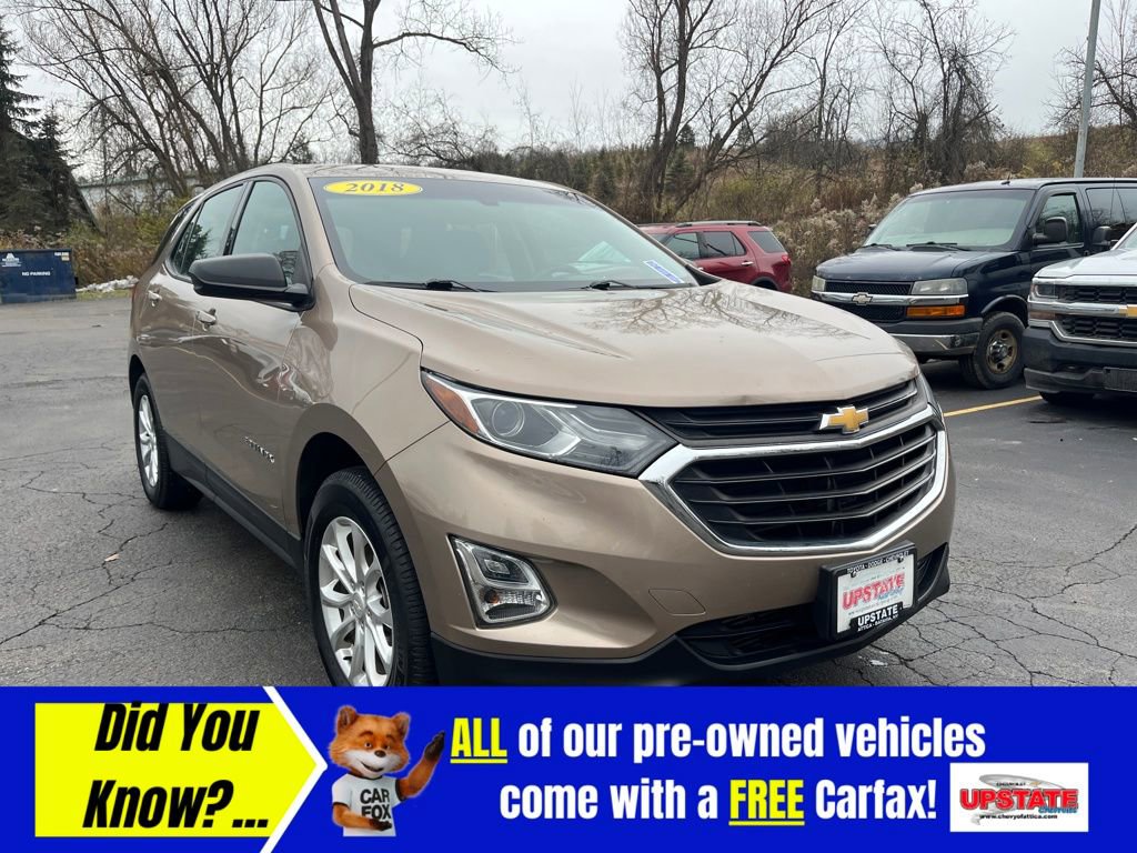 2018 Chevrolet Equinox LS photo 2