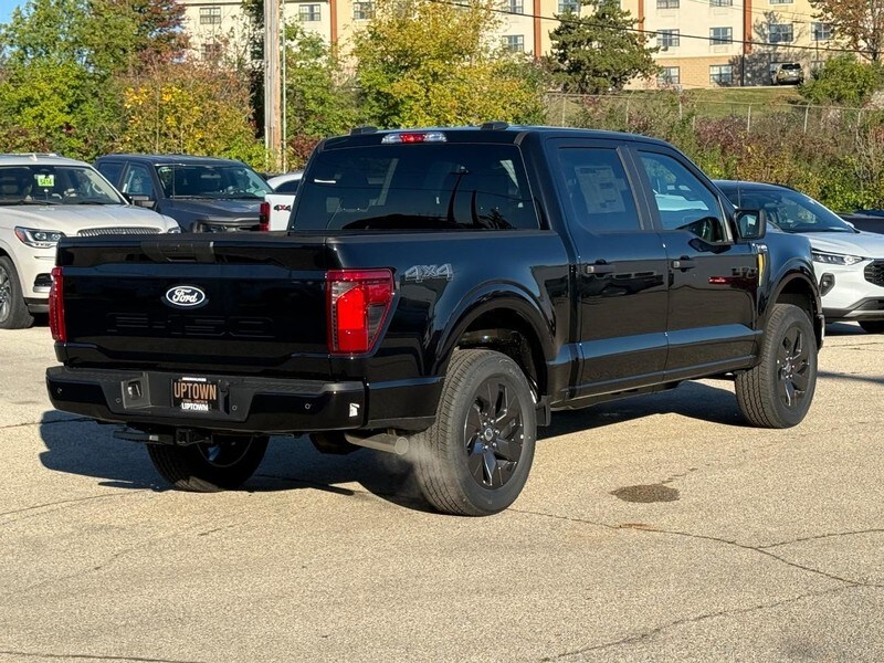 2025 Ford F-150 STX photo 3