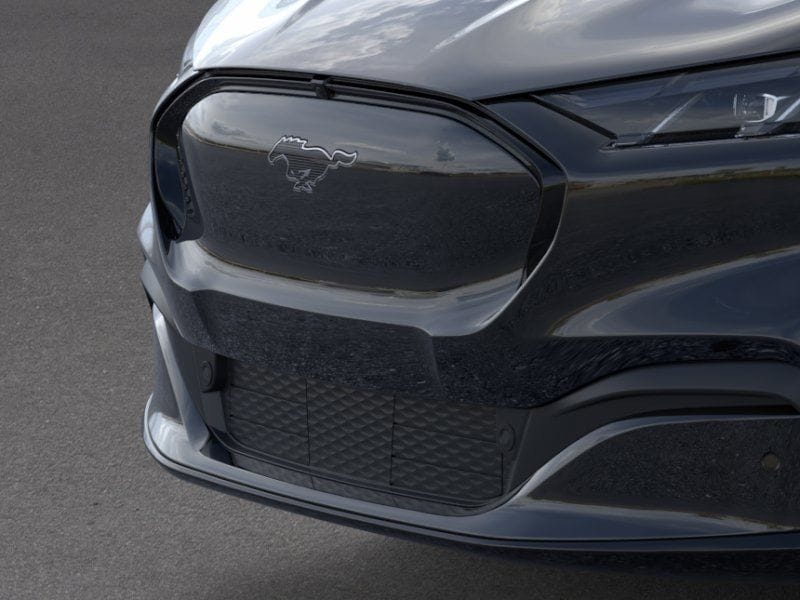 2025 Ford Mustang Mach-E Premium - Photo 17