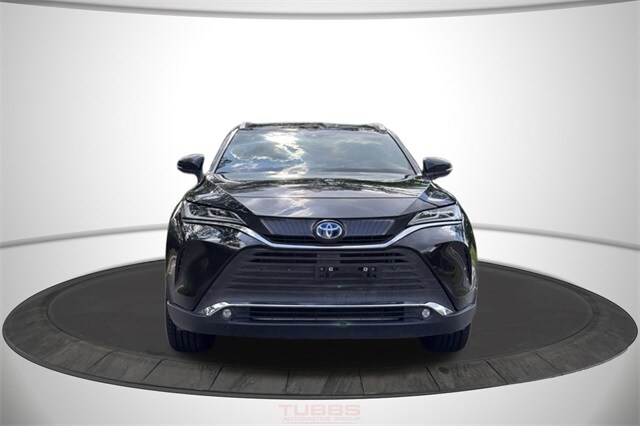 2023 Toyota Venza XLE photo 3