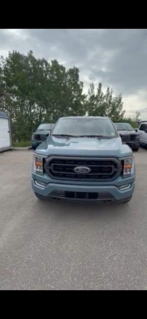 2023 Ford F-150 XLT 4x4 SuperCrew 157 in's photo