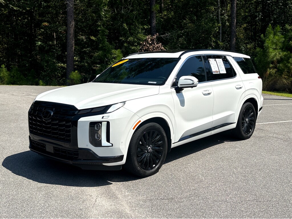 2024 Hyundai Palisade Calligraphy photo 3