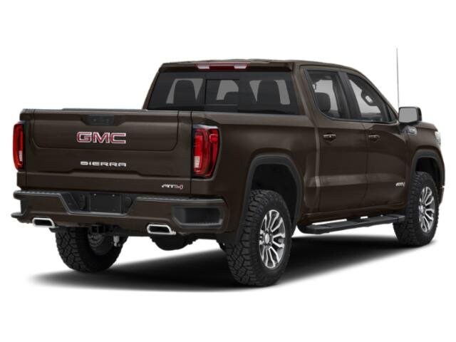 2021 Gmc Sierra 1500 AT4 photo 3