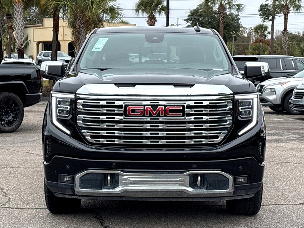 2023 Gmc Sierra 1500 Denali photo 2