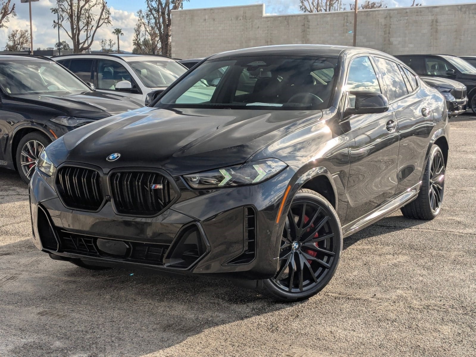 2026 BMW X6 M60i's photo