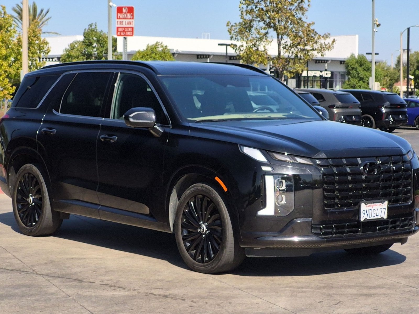 2024 Hyundai Palisade Calligraphy Night Edition - Photo 3