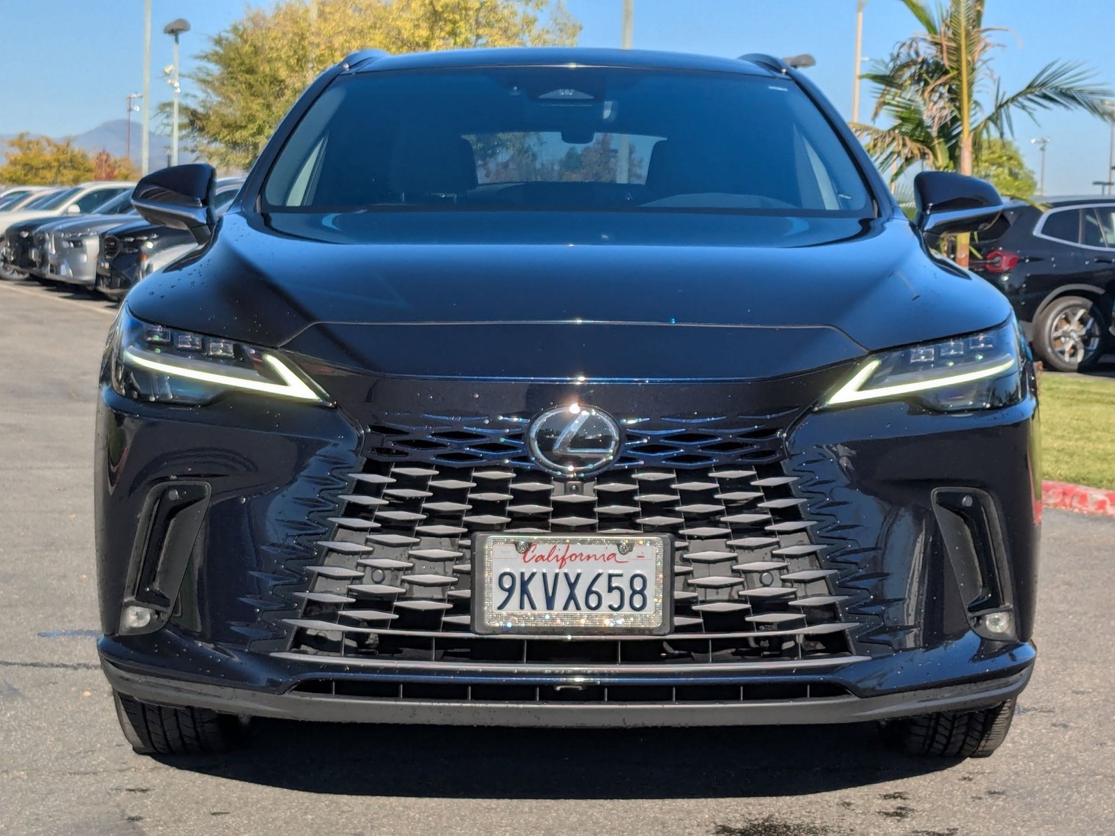 2024 Lexus RX 450h+ Luxury photo 2